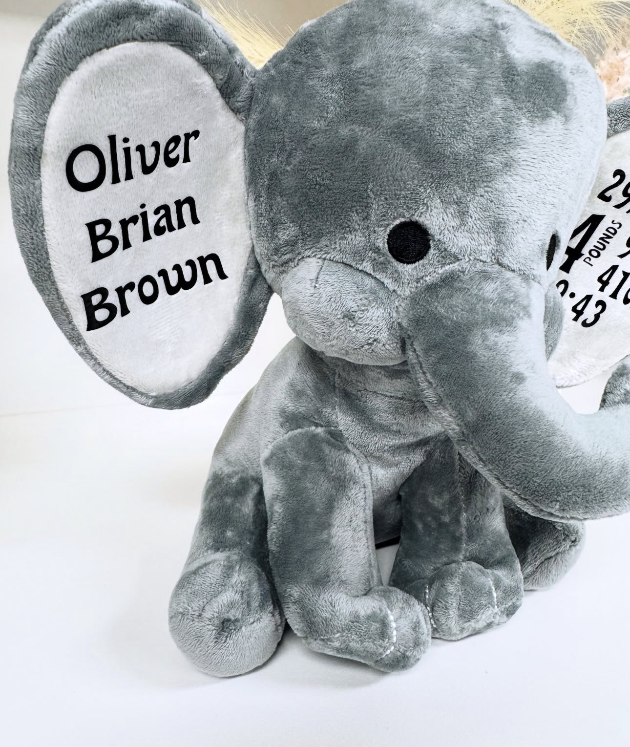 Personalised elephant