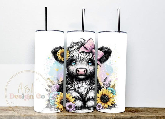 Highland cow 2